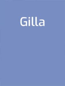 Gilla B-ruotsin kertauskirja